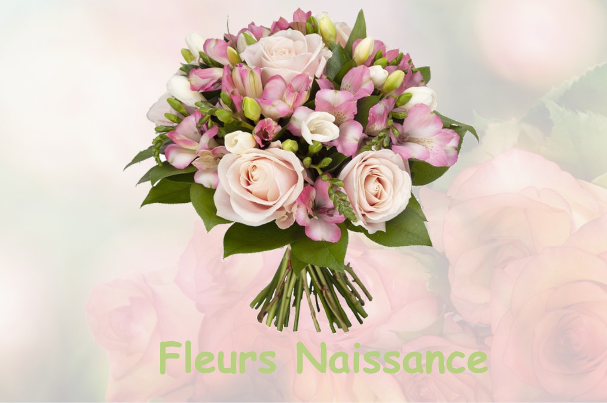 fleurs naissance LOUPPY-SUR-LOISON