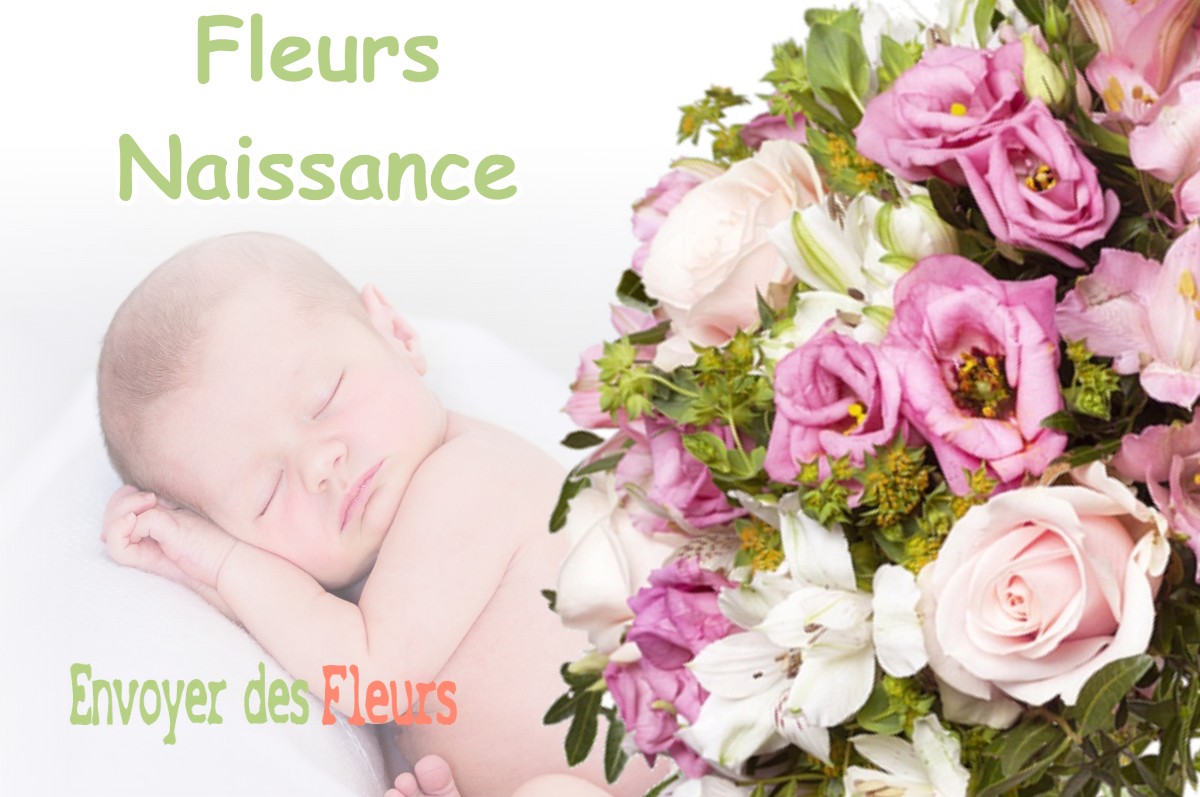 lIVRAISON FLEURS NAISSANCE à LOUPPY-SUR-LOISON